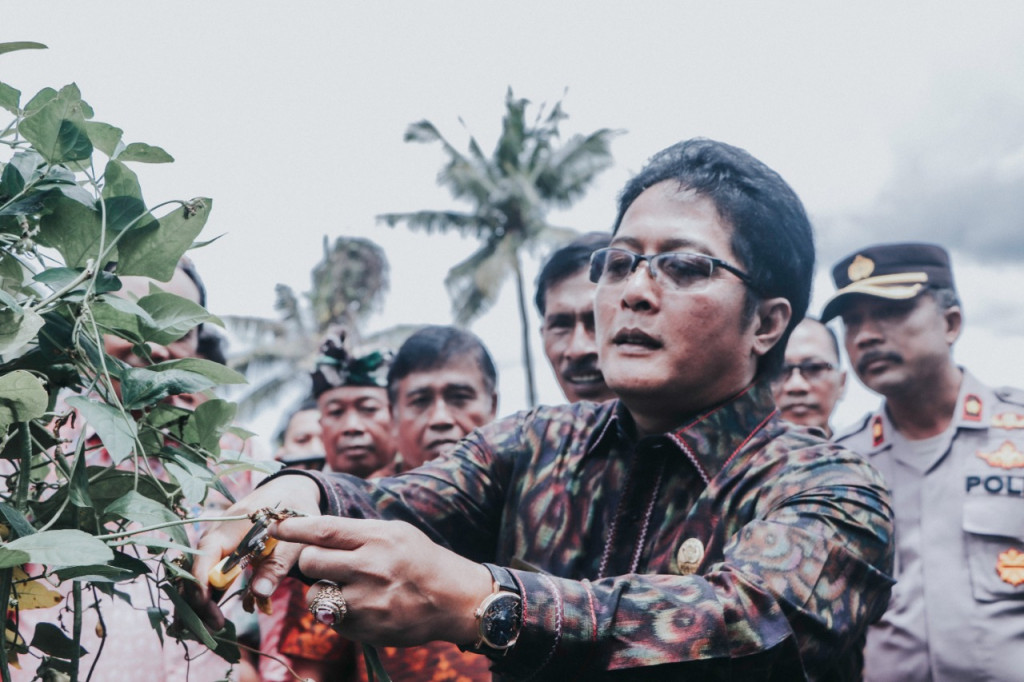Panen Raya Ketahanan Pangan Desa Sibanggede